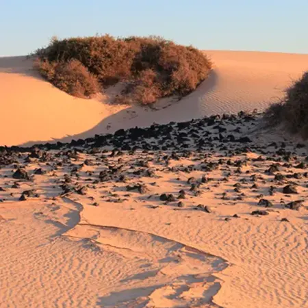 Dunas de Corralejo: Un paraíso natural en Fuerteventura
