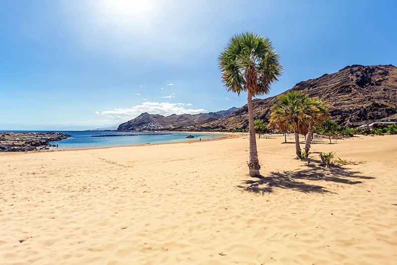 Explorando la Playa de Las Teresitas en Santa Cruz de Tenerife