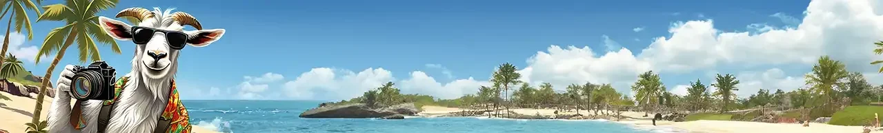DESCUBRE FUERTEVENTURA