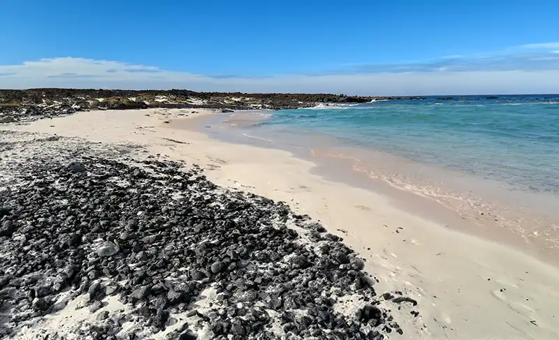 Descubriendo la Caleta del Mero en Lanzarote - DESCUBRE FUERTEVENTURA