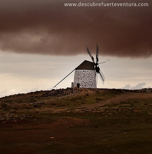 Los Molinos de Villaverde 