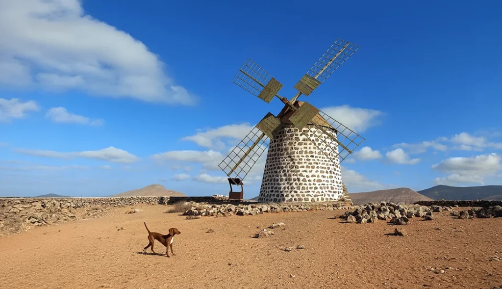Los Molinos de Villaverde  - DESCUBRE FUERTEVENTURA