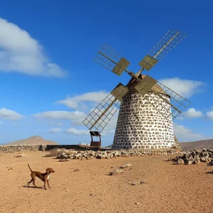 Los Molinos de Villaverde 