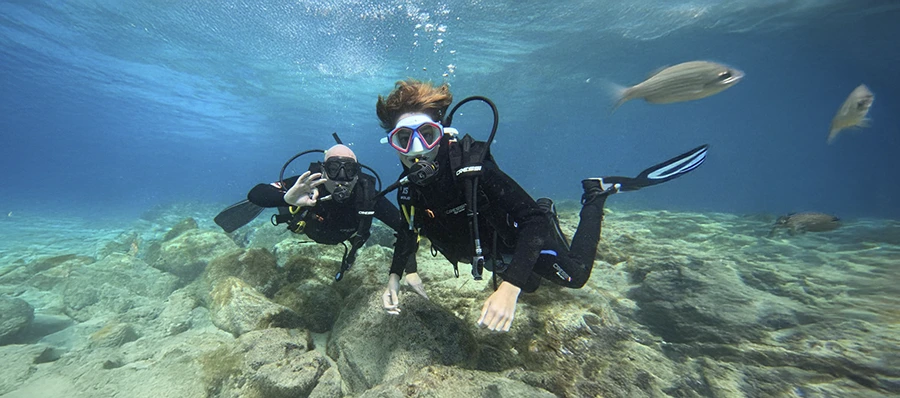 Conviértete en Buzo: Curso Open Water Diver en Tenerife Sur