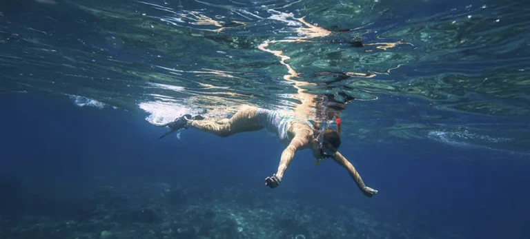 Kayak y Snorkel ‘Premium Todo Incluido’ en Fuerteventura: Olvídate de la Logística