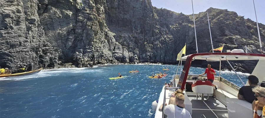 Paseo en Barco por el Sur de Tenerife: Delfines, Baño y Diversión