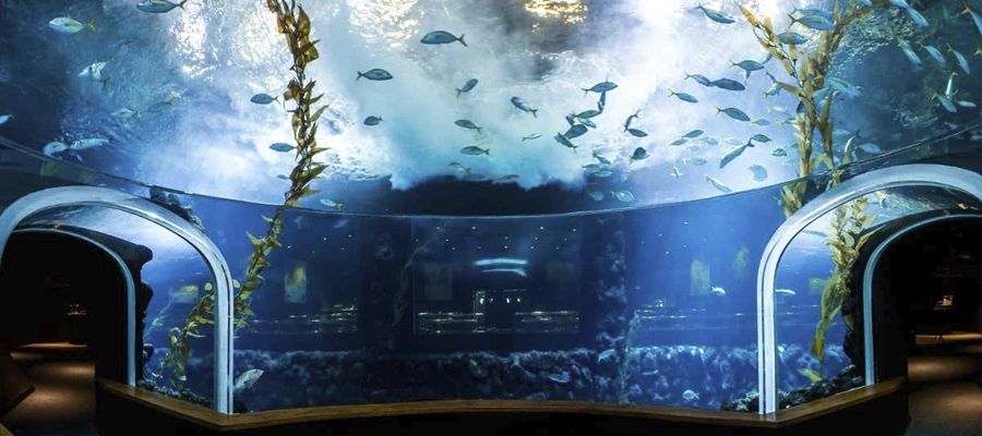 Poema del Mar: Acceso a las tres zonas temáticas; de La Jungla al Deep Sea (Mar Profundo)