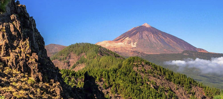 Tesoros del Noroeste: Masca, Garachico y el Drago Milenario