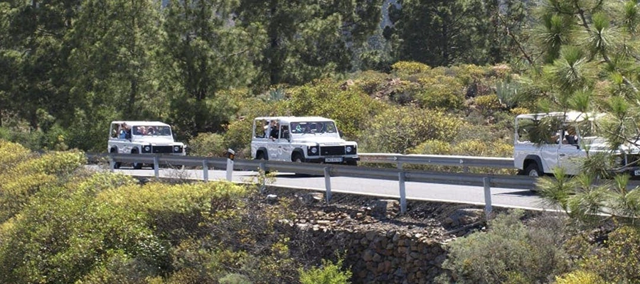 Tour 4×4: Barranco de Arguineguín, Presa de Chira y pueblos de montaña
