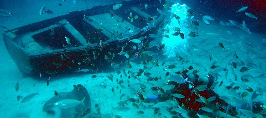 Safari Submarino en Tenerife: Un Viaje para Toda la Familia