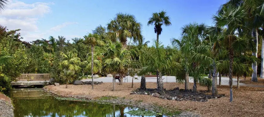 El Jardín de las Mil Palmas: Cultura y botánica en el Palmetum