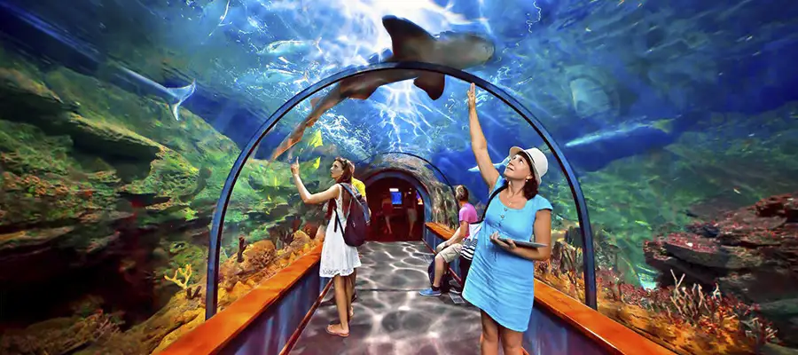 Descubre el Paraíso Tropical: Tour al Loro Parque desde el Sur