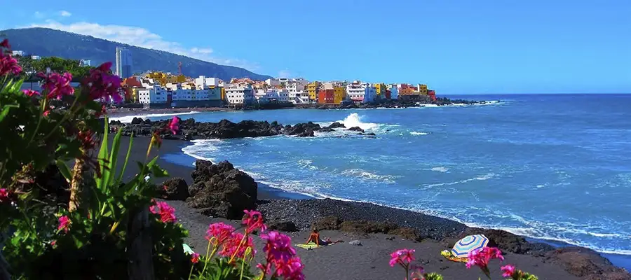 Aventura Botánica e Histórica: Un Día en el Puerto de la Cruz