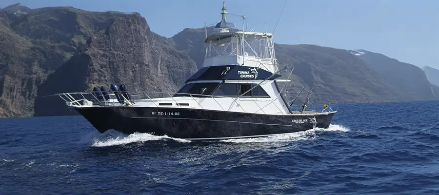 Paseo privado en barco por Tenerife sur: Las Galletas