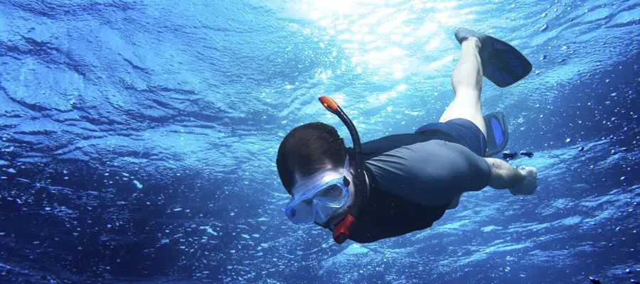 Safari de Snorkel Guiado: Radazul y su Biodiversidad