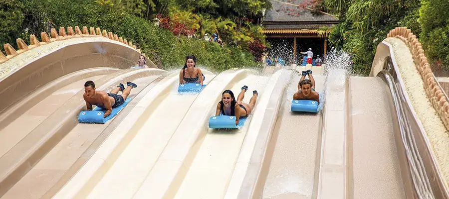 Traslado de Ida y Vuelta a Siam Park desde el Puerto de la Cruz