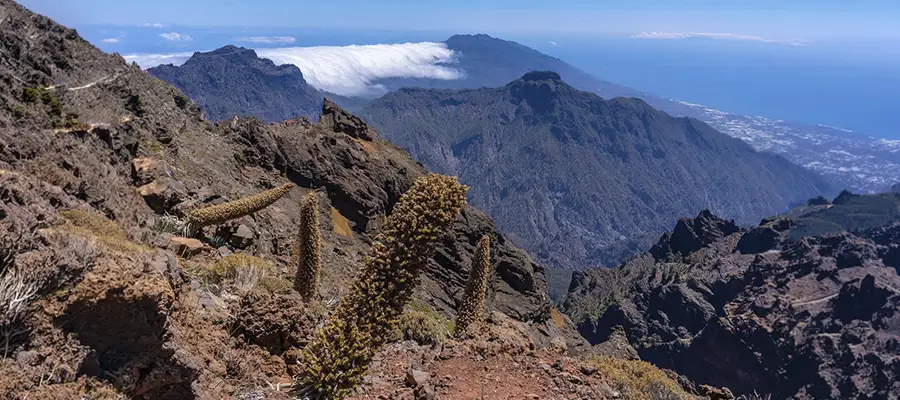 Caminata por el Roque de los Muchachos: Geologia y Astronomia